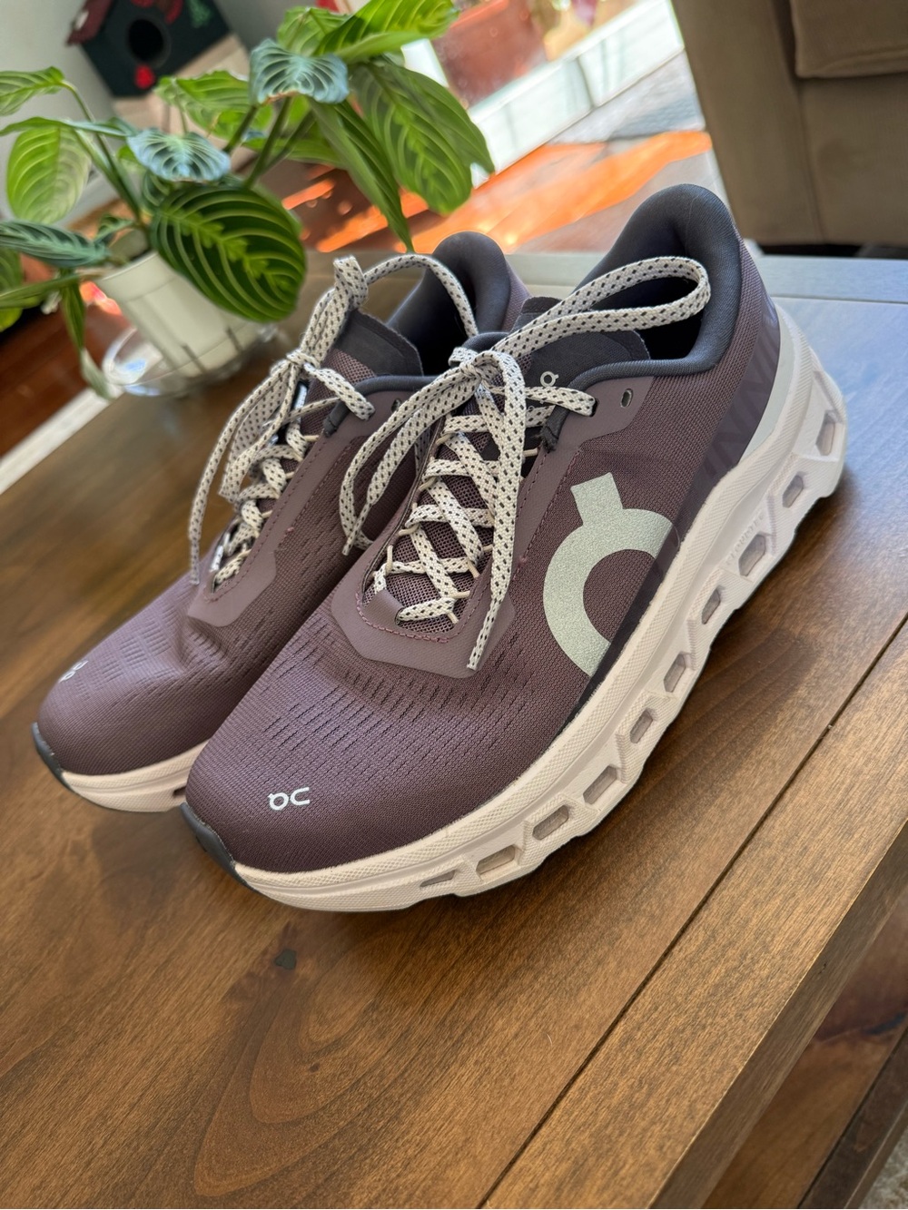 EUC On Cloudmonster 1 Gobi Lily Women’s Running Shoes Size 8